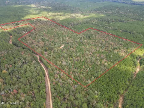 222 Byrd Rd, Pinola, MS 39149
