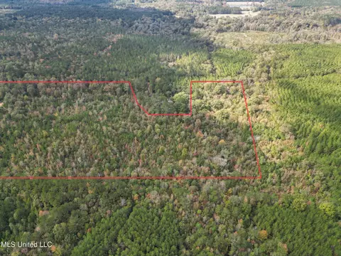 222 Byrd Rd, Pinola, MS 39149 photo 4