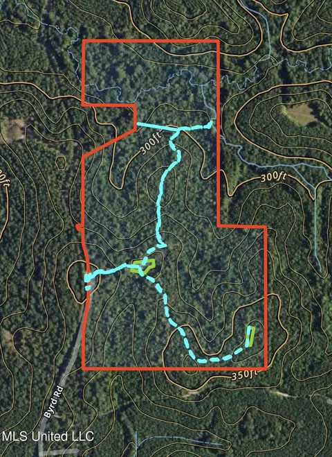 222 Byrd Rd, Pinola, MS 39149 photo 3