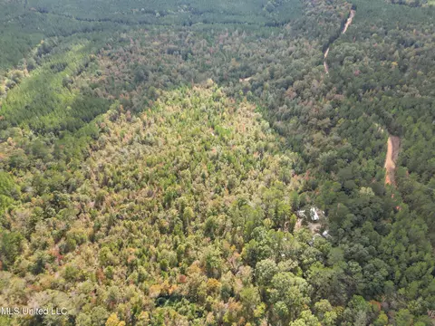222 Byrd Rd, Pinola, MS 39149 photo 11
