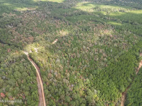 222 Byrd Rd, Pinola, MS 39149 photo 14