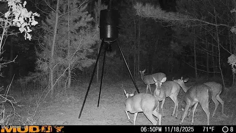 222 Byrd Rd, Pinola, MS 39149 photo 30