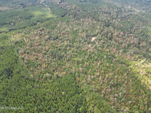 222 Byrd Rd, Pinola, MS 39149 photo 8