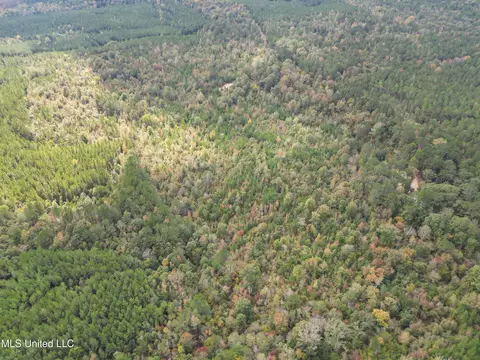 222 Byrd Rd, Pinola, MS 39149 photo 9