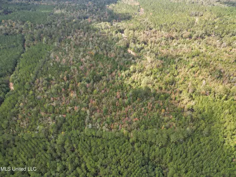 222 Byrd Rd, Pinola, MS 39149 photo 7