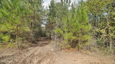 222 Byrd Rd, Pinola, MS 39149 photo 19