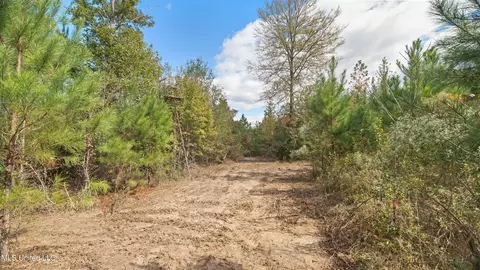 222 Byrd Rd, Pinola, MS 39149 photo 16