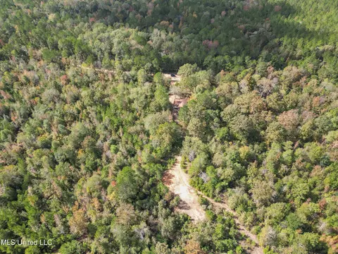 222 Byrd Rd, Pinola, MS 39149 photo 5