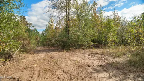 222 Byrd Rd, Pinola, MS 39149 photo 18