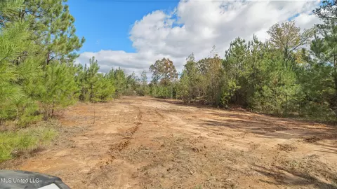 222 Byrd Rd, Pinola, MS 39149 photo 17