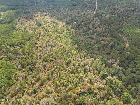 222 Byrd Rd, Pinola, MS 39149 photo 10