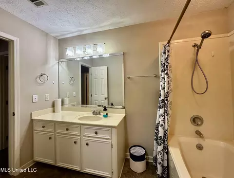 Bath - 351 E Cascades Cir, Clinton, MS 39056 photo 1 of 1