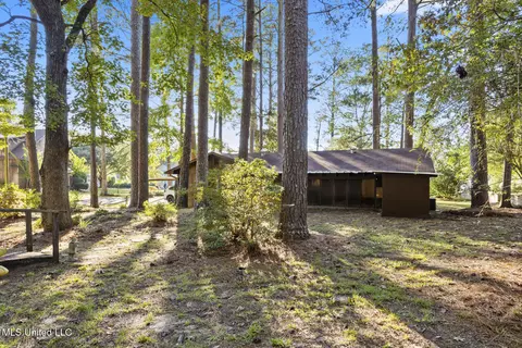110 Pine Hill Cir, Florence, MS 39073 photo 22
