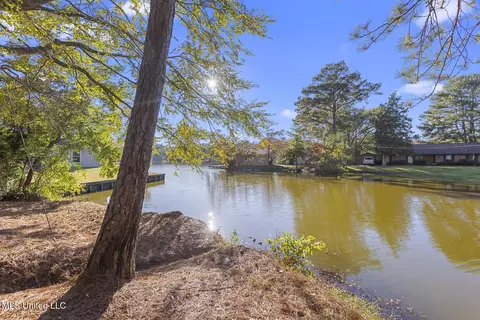 110 Pine Hill Cir, Florence, MS 39073 photo 30
