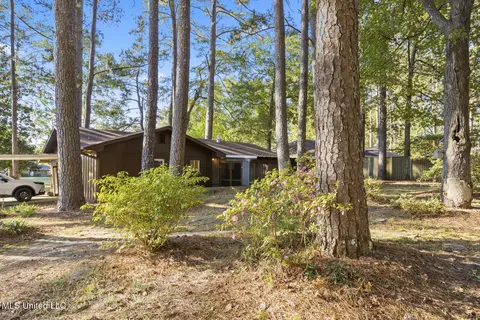 110 Pine Hill Cir, Florence, MS 39073 photo 23