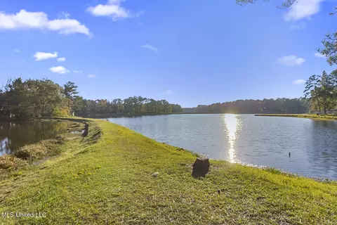 110 Pine Hill Cir, Florence, MS 39073 photo 33