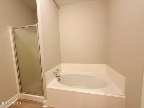 Bath - 110 Commonwealth Ave, Brandon, MS 39047 photo 3 of 4