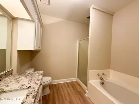 Bath - 110 Commonwealth Ave, Brandon, MS 39047 photo 2 of 4