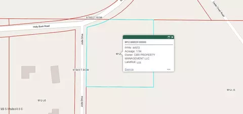 00 Holly Bush Rd, Pelahatchie, MS 39145
