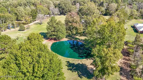 1230 Misty Ln, Terry, MS 39170 photo 7