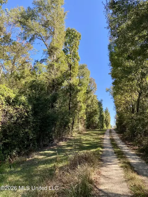 Other - 131 Monk Mitchell Rd, Picayune, MS 39466 photo 15 of 15