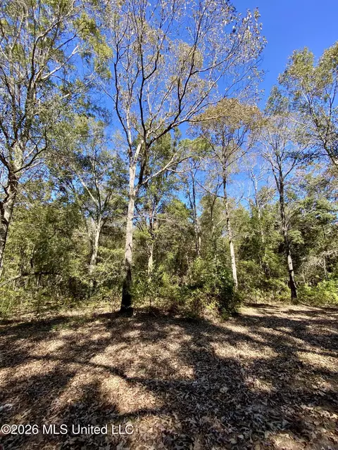 Other - 131 Monk Mitchell Rd, Picayune, MS 39466 photo 12 of 15