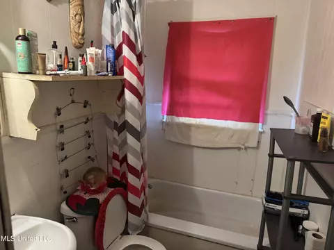 Bath - 2218 Mobile Ave #20, Jackson, MS 39213 photo 2 of 5