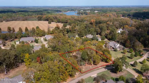 111 Langdon Dr, Madison, MS 39110