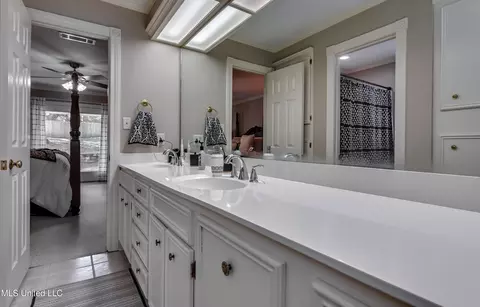 Bath - 539 Dixton Dr, Brandon, MS 39047 photo 3 of 8