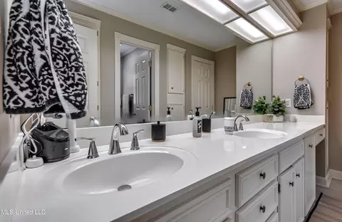 Bath - 539 Dixton Dr, Brandon, MS 39047 photo 2 of 8