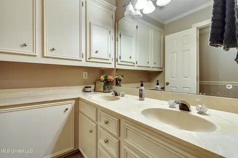 Bath - 539 Dixton Dr, Brandon, MS 39047 photo 6 of 8