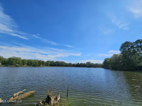 View/Area - 4352 Pine Lake Dr, Terry, MS 39170 photo 2 of 4