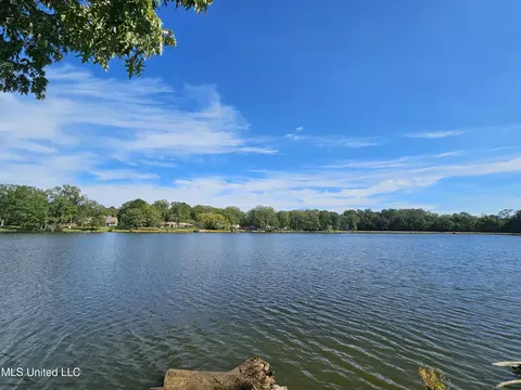 View/Area - 4352 Pine Lake Dr, Terry, MS 39170 photo 3 of 4