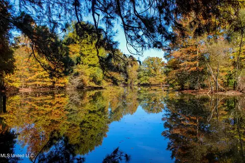 636 Livingston Vernon Rd, Flora, MS 39071