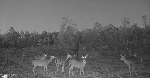 839 Mount Pilgrim Rd, Camden, MS 39045 photo 27