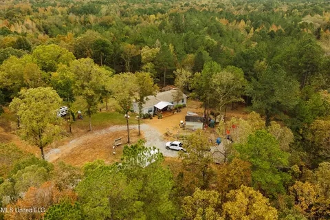 839 Mount Pilgrim Rd, Camden, MS 39045 photo 2