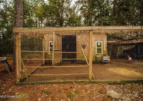 839 Mount Pilgrim Rd, Camden, MS 39045 photo 24