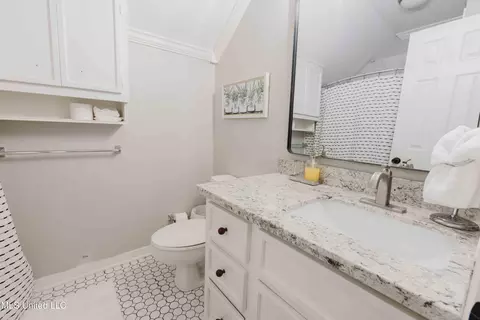 Bath - 199 Mandarin Dr, Brandon, MS 39047 photo 4 of 4