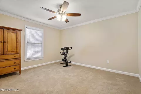 Other - 124 Trace Cove Dr, Madison, MS 39110 photo 5 of 9