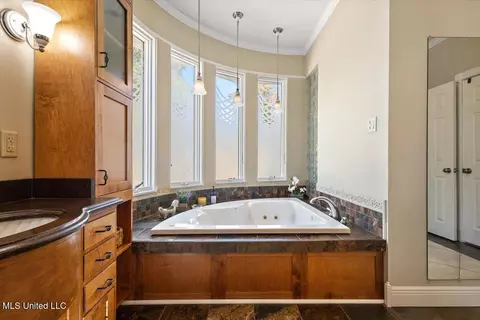 Bath - 124 Trace Cove Dr, Madison, MS 39110 photo 3 of 4