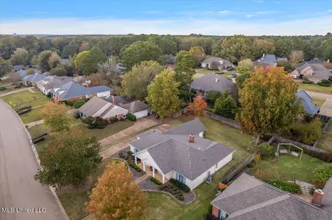 View/Area - 124 Trace Cove Dr, Madison, MS 39110 photo 1 of 5