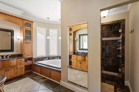 Bath - 124 Trace Cove Dr, Madison, MS 39110 photo 1 of 4