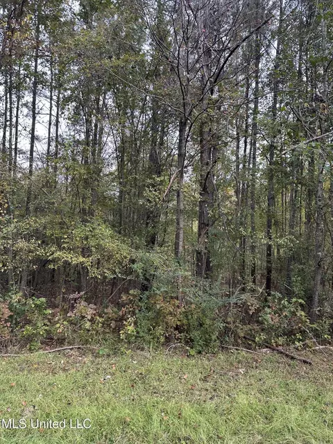 Mcraven Road, Clinton, MS 39056 photo 4