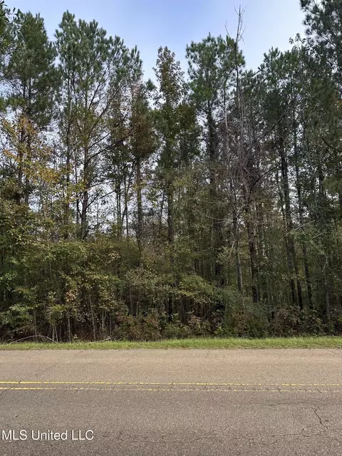 Mcraven Road, Clinton, MS 39056 photo 3