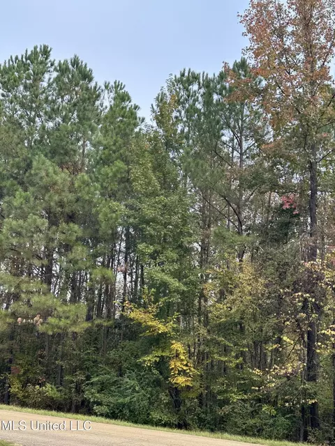 Mcraven Road, Clinton, MS 39056 photo 6