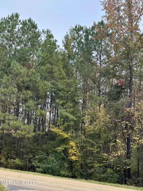 Mcraven Road, Clinton, MS 39056 photo 5