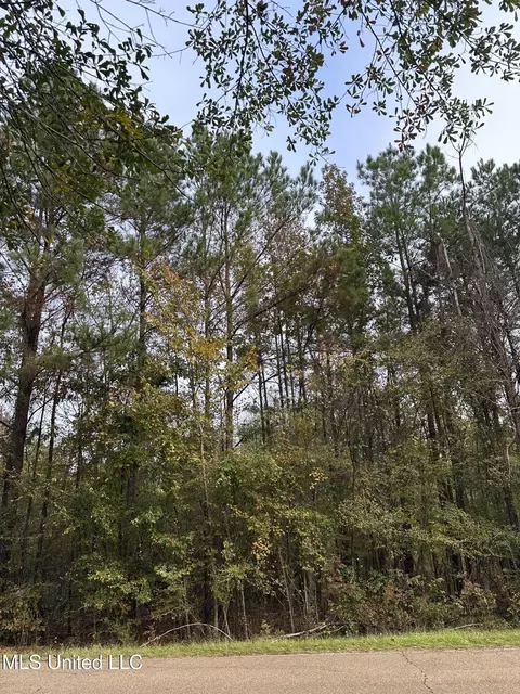 Mcraven Road, Clinton, MS 39056 photo 2