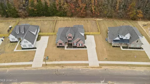 View/Area - 1418 Crk Hvn Dr, Hernando, MS 38632 photo 1 of 4
