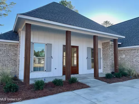Other - 372 Wellstone Pl, Madison, MS 39110 photo 1 of 14