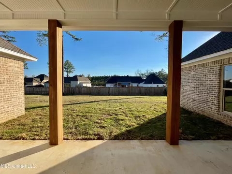 Exterior - 372 Wellstone Pl, Madison, MS 39110 photo 4 of 8